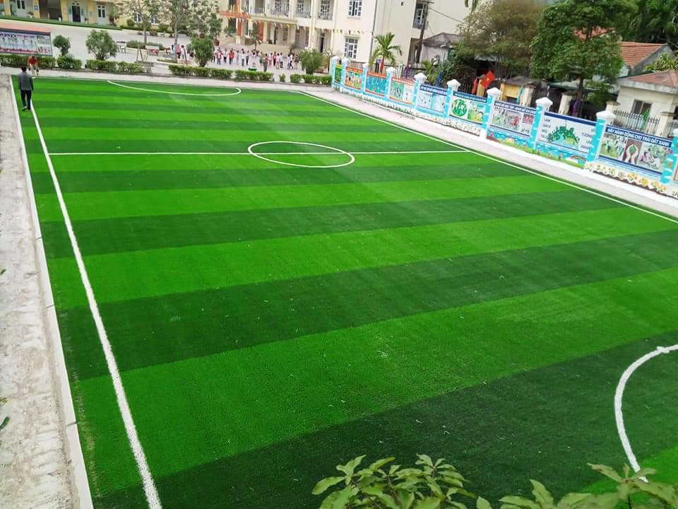 Cỏ Nhân Tạo Sân Bóng HV - 50
