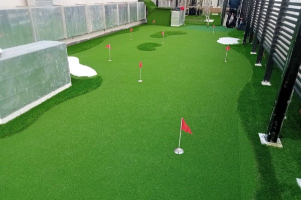 Thảm Cỏ Nhân Tạo Sân Golf HV - 29