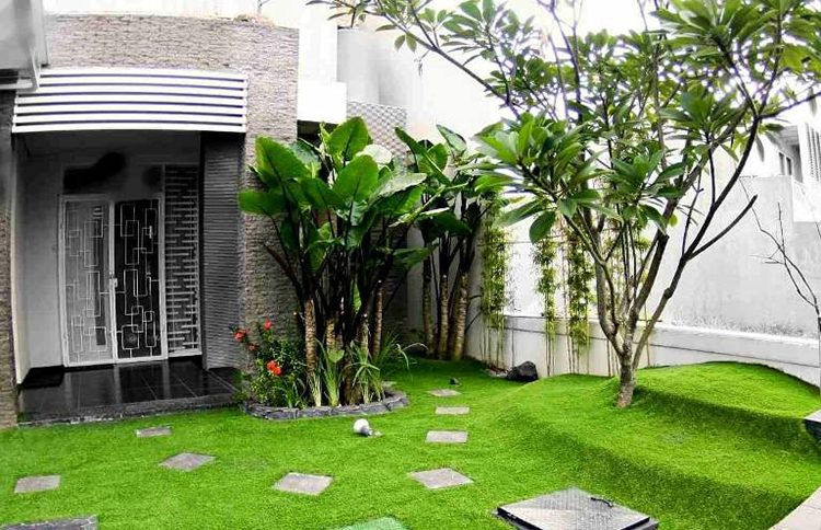 Thảm Cỏ Nhân Tạo HV52